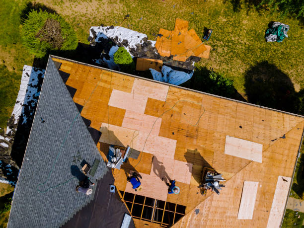 Best Roof Gutter Cleaning  in Piqua, OH